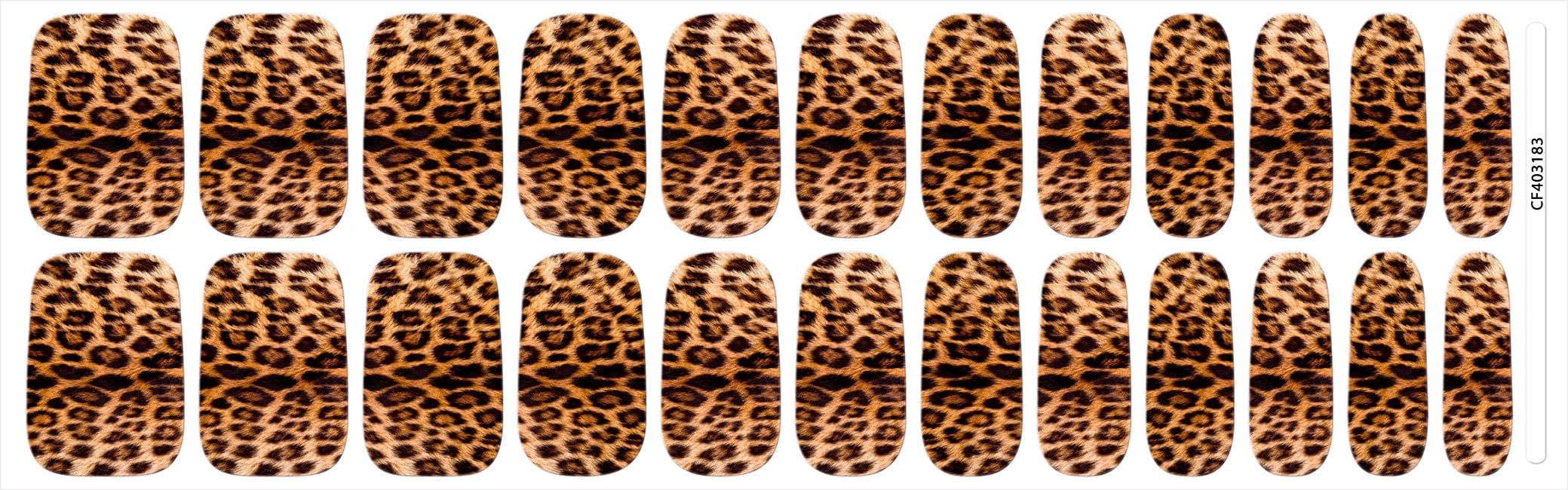 Autumnal Cheetah
