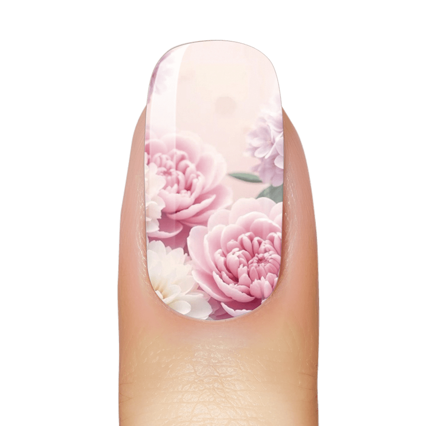 Spring Rose